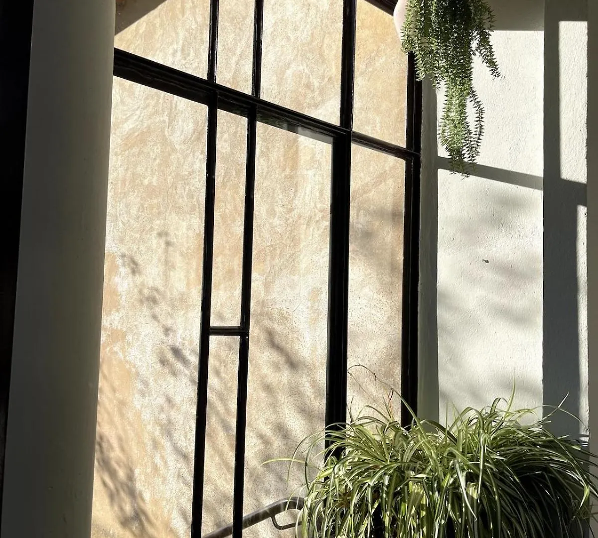 Lou Vabre - Guest House Cadenet Francie